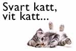 Bokus katt