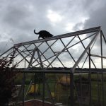 Köksträdgården och nya växthuset!