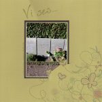 vises