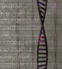 DNA-forskning – vilket test ska man välja?