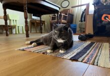 Finaste Greta 2007-2022